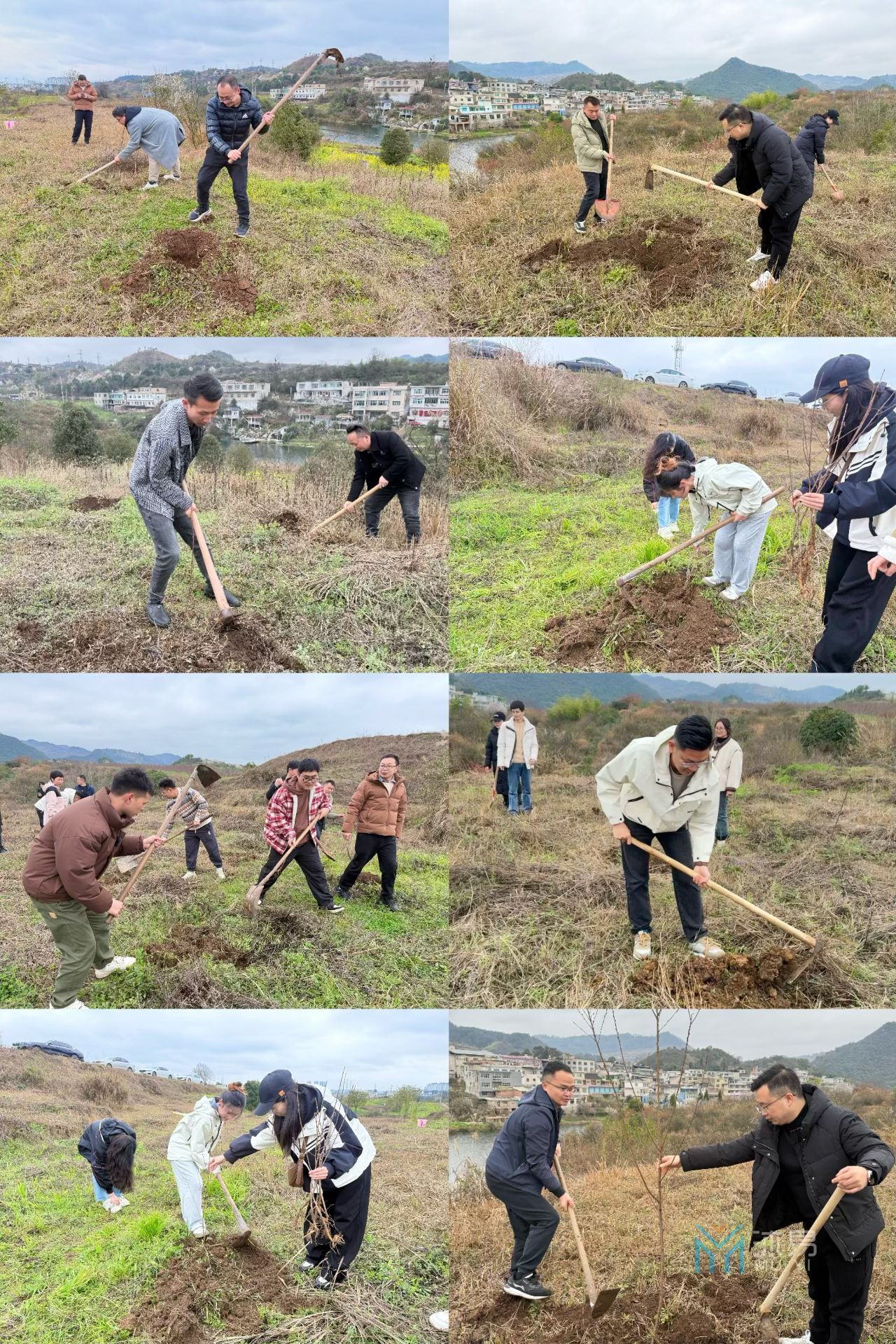 贵州两山投资公司2025植树节活动 (图2)