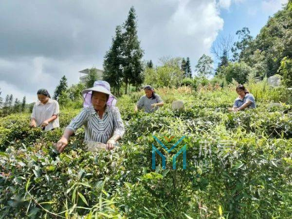 望谟县“十四五”巩固拓展脱贫攻坚成果同乡村振兴有效衔接规划(图3)